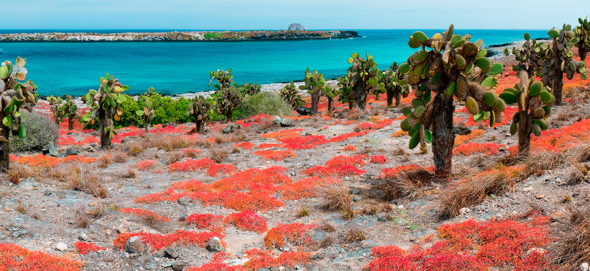 Galapagos Moonrise – Tour Operator